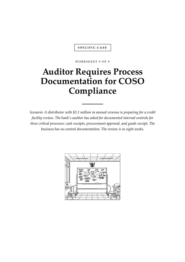 Cover, Auditor Requires Process Documentation for COSO Compliance